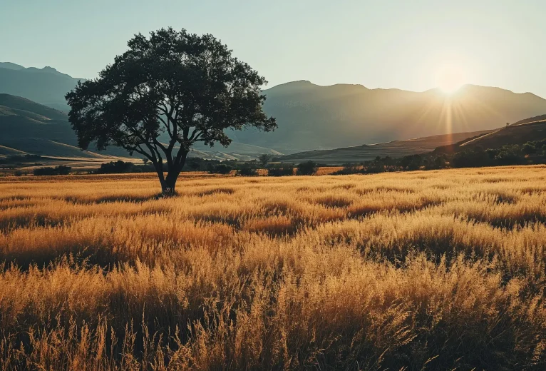 Ethereal Sunset Silhouette